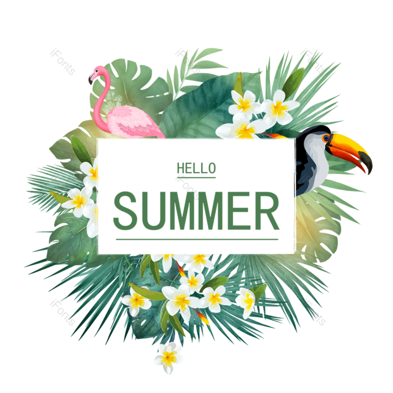 夏日图片,夏日边框元素,热带植物PNG,免抠素材